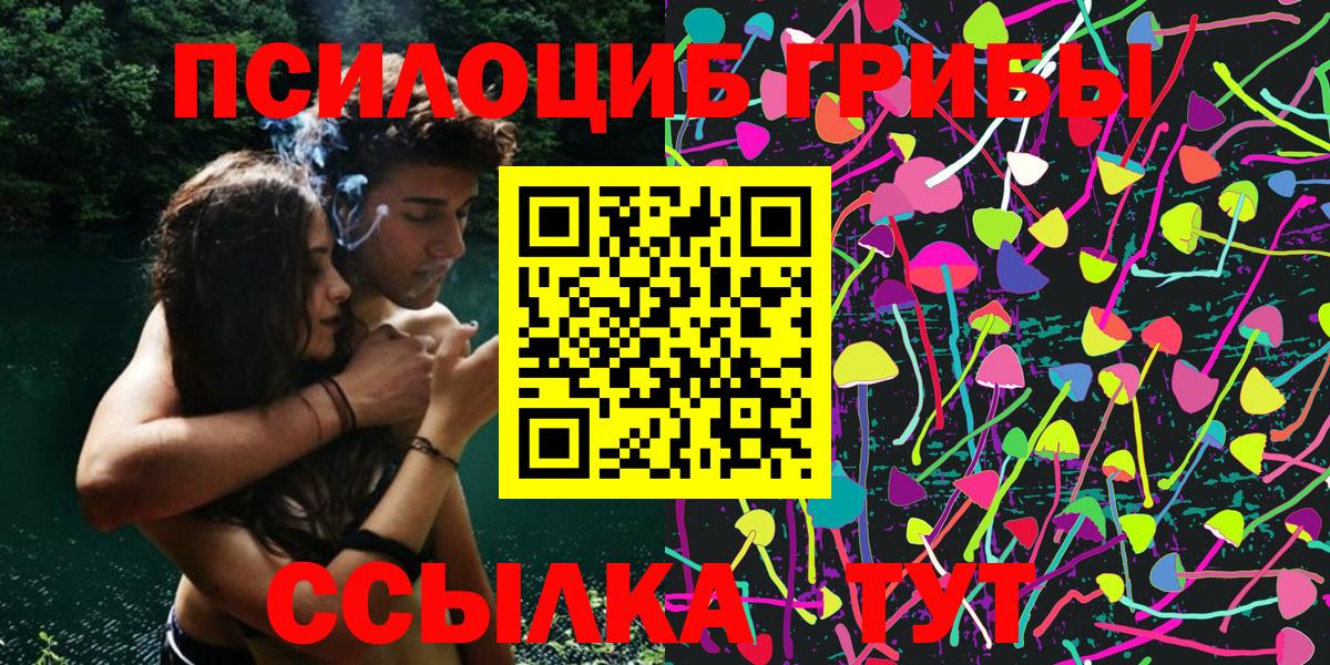 Ачхой-Мартан  Галлюциногенные грибы Magic Shrooms  Вход с VPN 